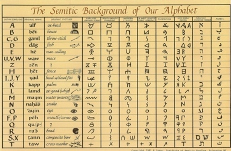Alphabet-800x523.jpg